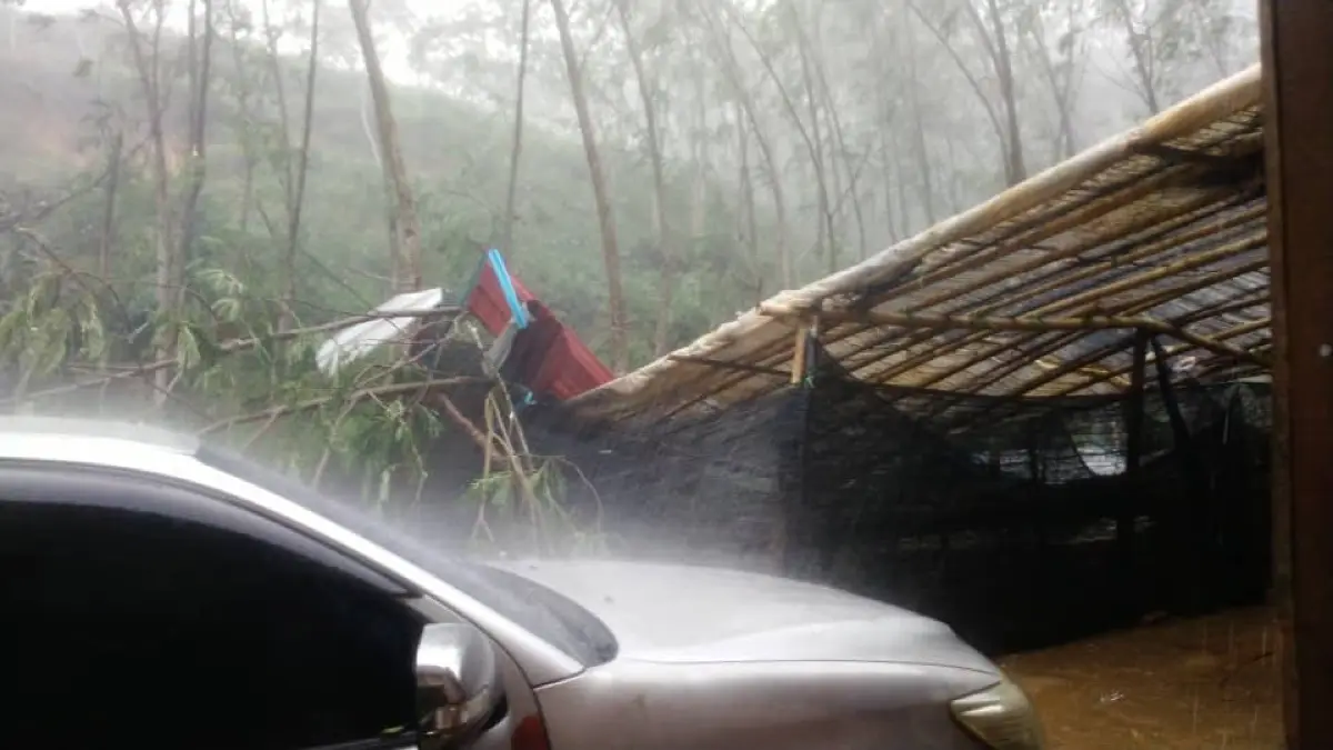 Storm damage at the concession — Jul 2025