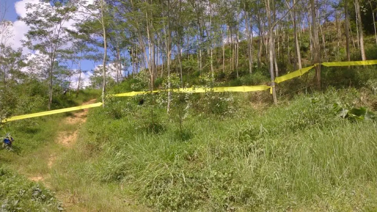 Yellow cloth boundary line strung along the plantation edge