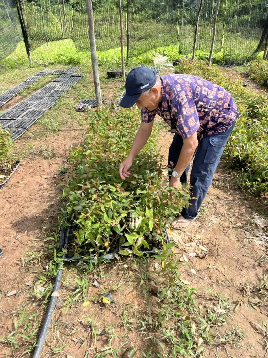 Jul 2023 — Tending young seedlings in the nursery